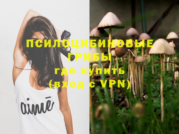 гидра Белоозёрский