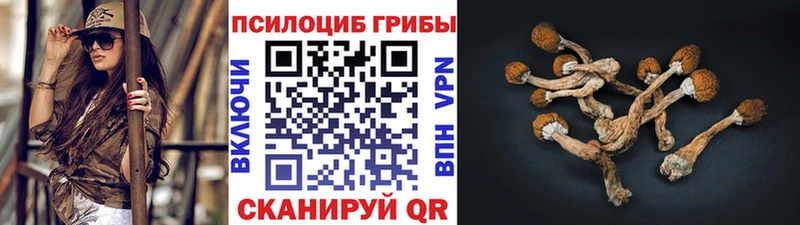 Галлюциногенные грибы GOLDEN TEACHER  это телеграм  Югорск  KRAKEN ссылки 